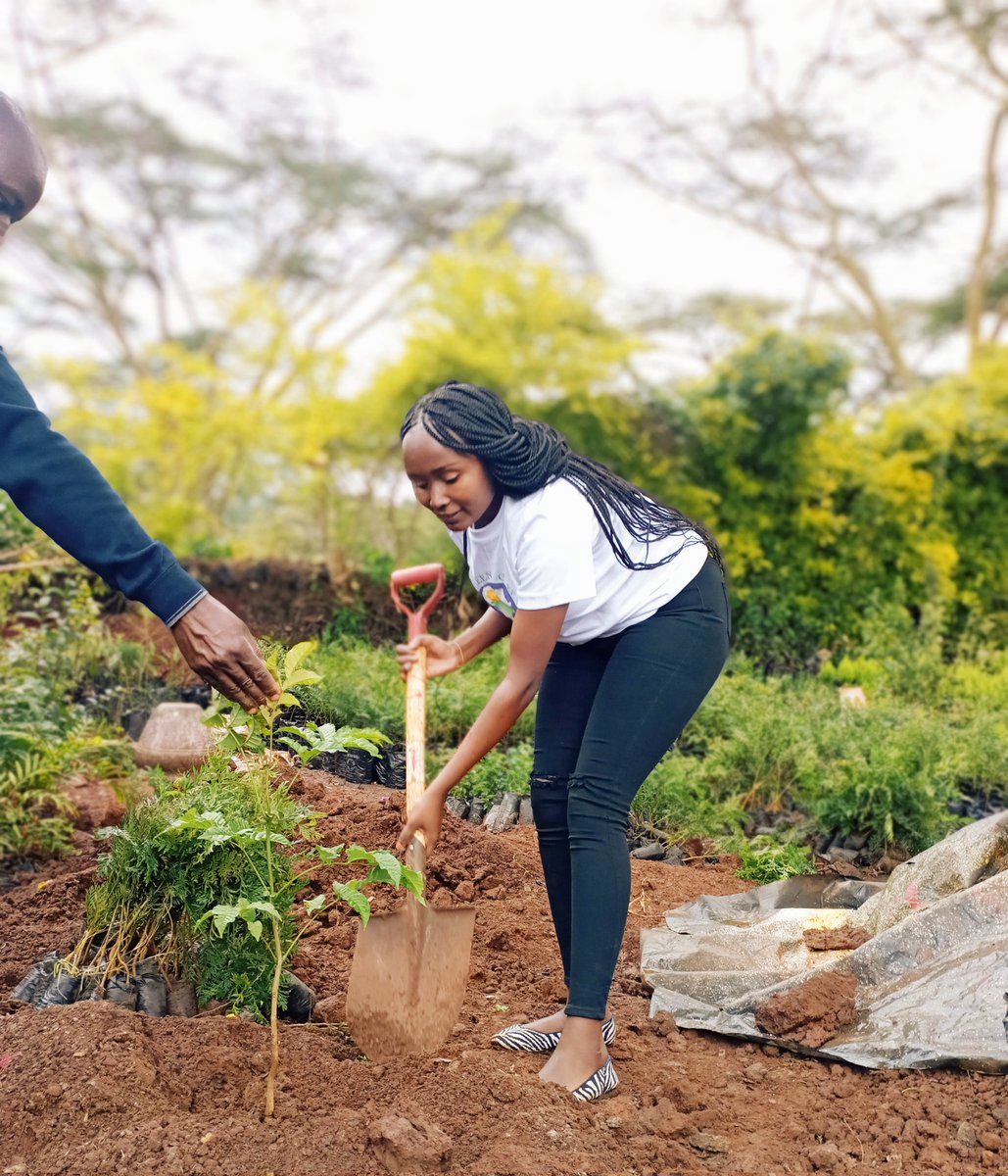 Today was a successful day we managed to plant 50 trees🌳🌳🌳.Let us make our country green.#Itstimefornature #GreenCareIntiative.#ClimateAction
@USAIDKenya @UNEP @USEmbassyKenya @environpeoplede @UNFCCCwebcast