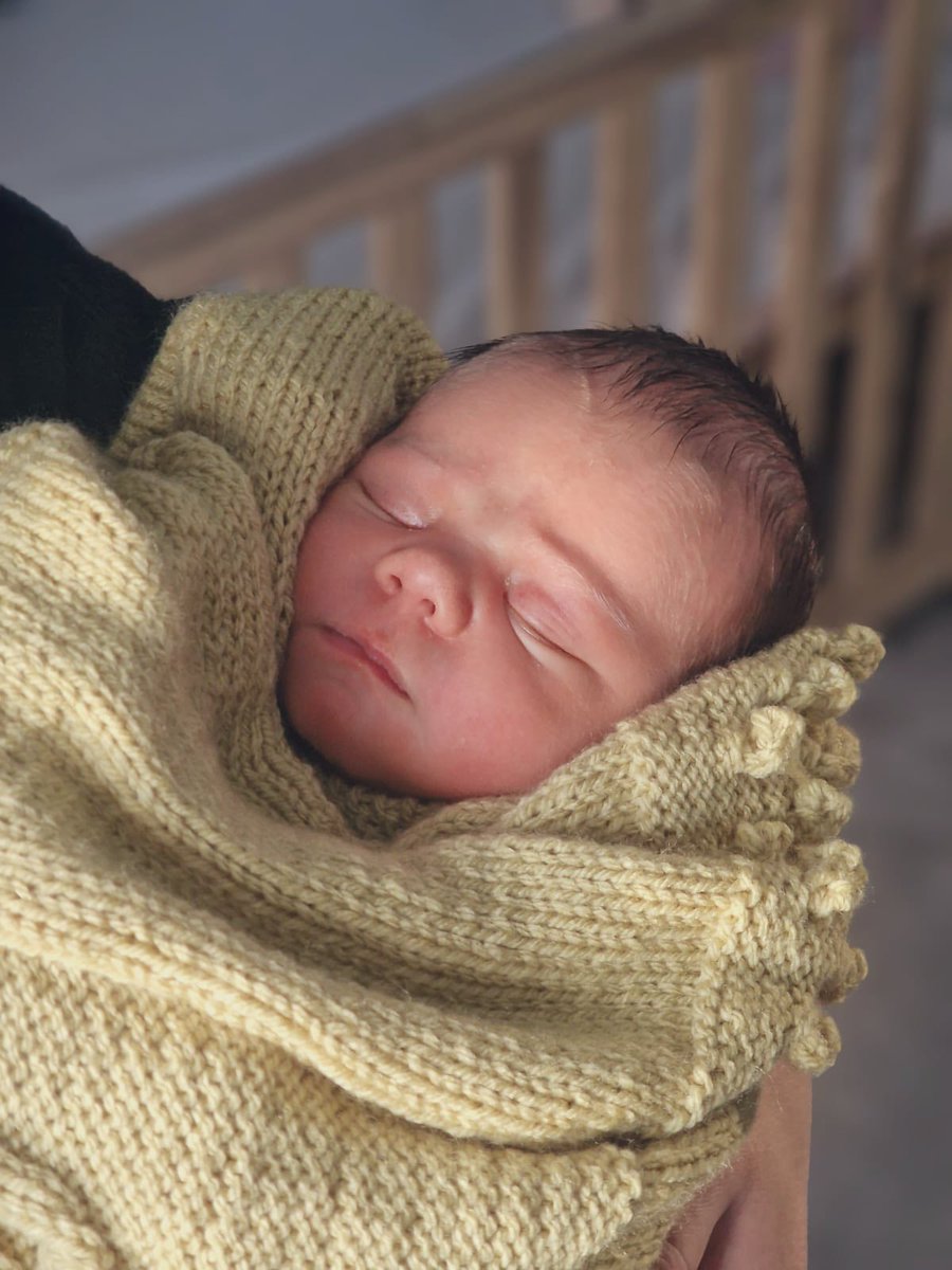 Alice Ewen tweet media