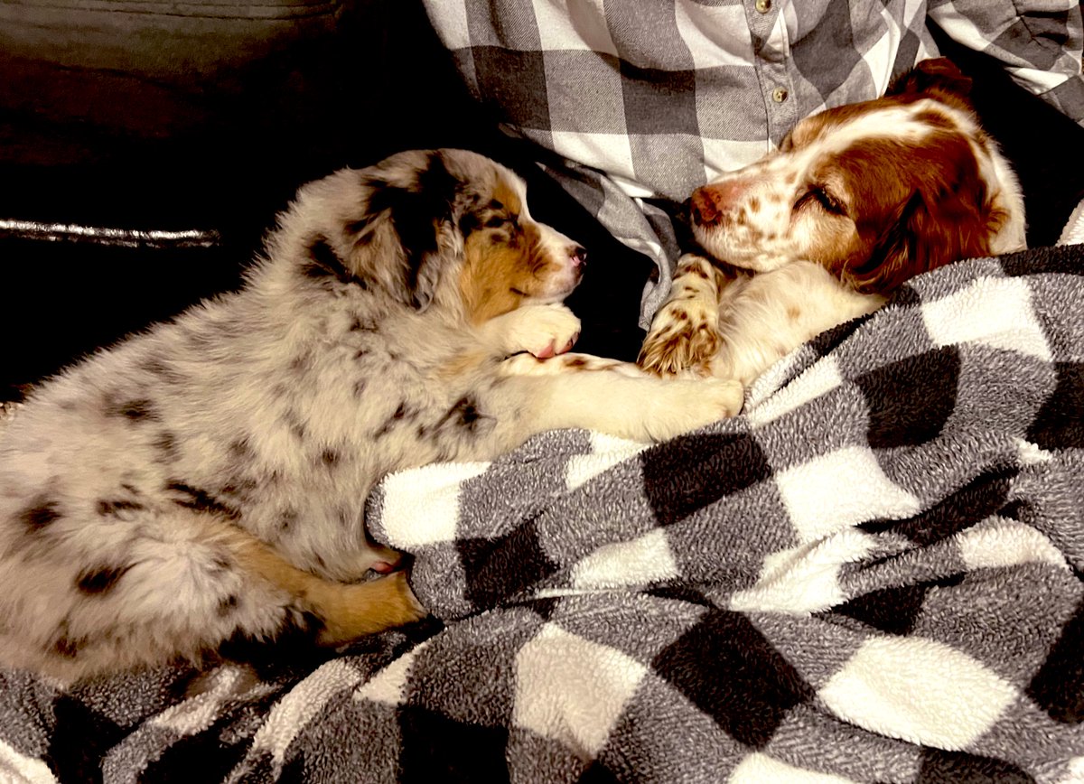 KaylaPrintz's tweet photo. Let me tell you about my best friends 🥰 they’re best friends!! ♥️ https://t.co/0C62oe9KZz