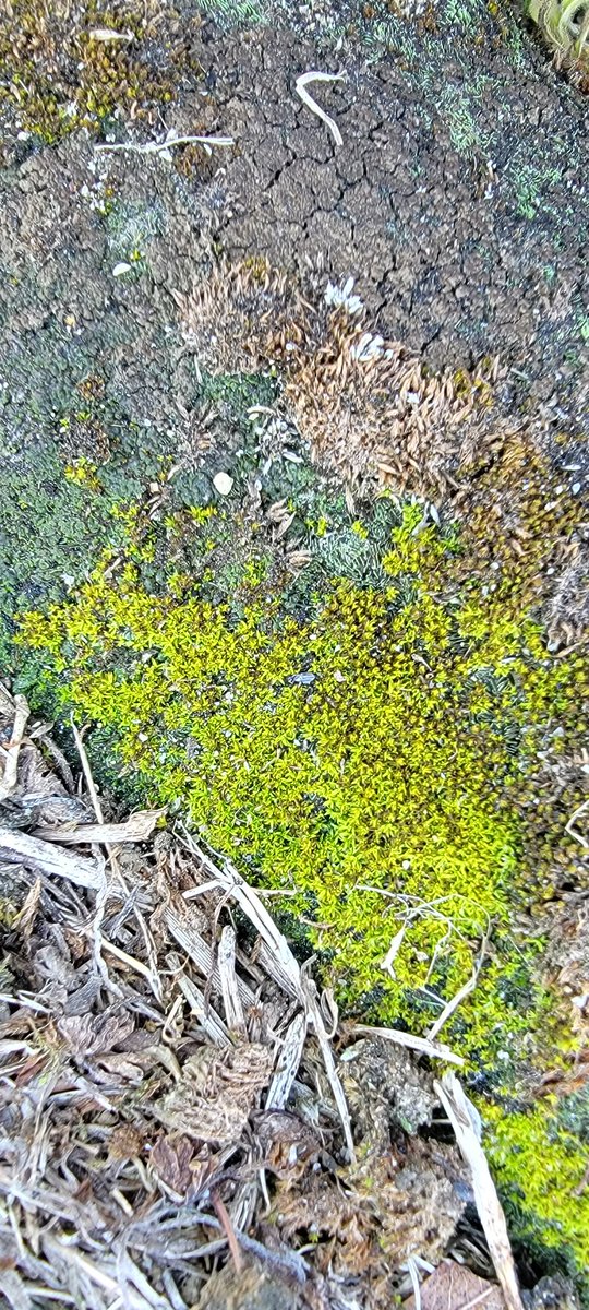 Another great #CitizenScience day with <a href="/MartinCoSchNC/">MartinCountySchoolsNC</a> 6th and 8th graders! Our partnership with <a href="/NCGSKFound/">NC GlaxoSmithKline F</a> is making this possible. #citizensciencemonth #realscience #STEM <a href="/rmp4412/">Rachael Polmanteer</a> <a href="/CHudsonSTEM/">Cliff Hudson</a>