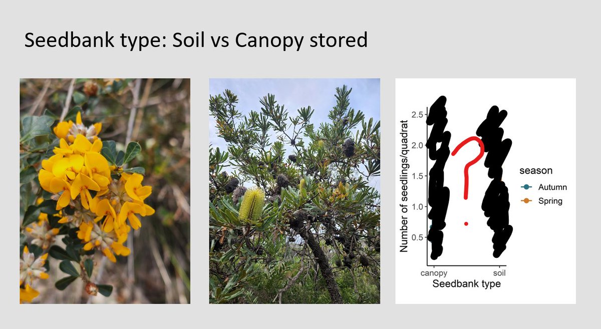 Alexandria Thomsen tweet media