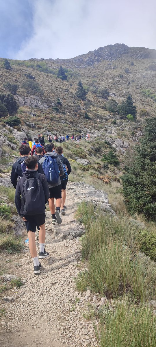 IesSanctiPetri's tweet photo. 🌲 El alumnado de 3° ESO realizó el pasado viernes parte de la ruta del Sendero "El Pinsapar" gracias a las actividades enmarcadas dentro del Programa Aldea. #iessanctipetri #ProgramaAldea #pinsapar https://t.co/49Sc0YlL9q