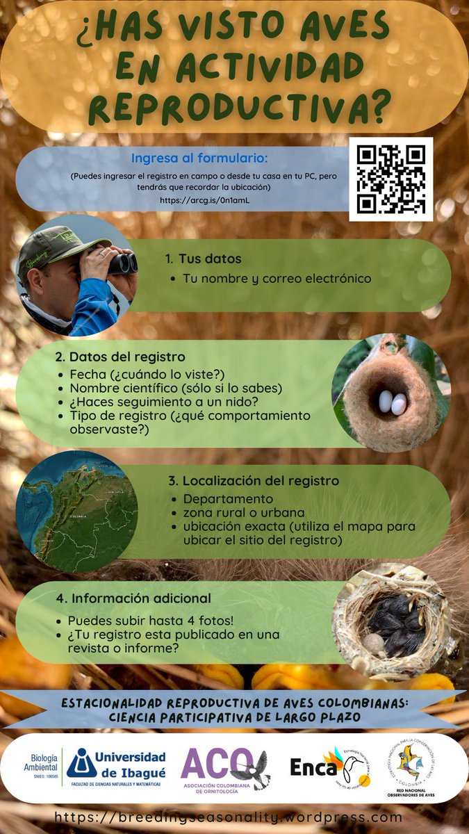 Colombia, siendo el país de la aves, cuenta con escasos registros reproductivos de aves silvestres. Esto dificulta los análisis de las épocas reproductivas y su asociación con variables del ambiente, incluyendo cambio climático, urbanización, etc. <a href="/OrnitologiaCol/">Asociación Colombiana de Ornitología | ACO 🦜</a> <a href="/OrnitologiaNeot/">Ornitología Neotropical</a>