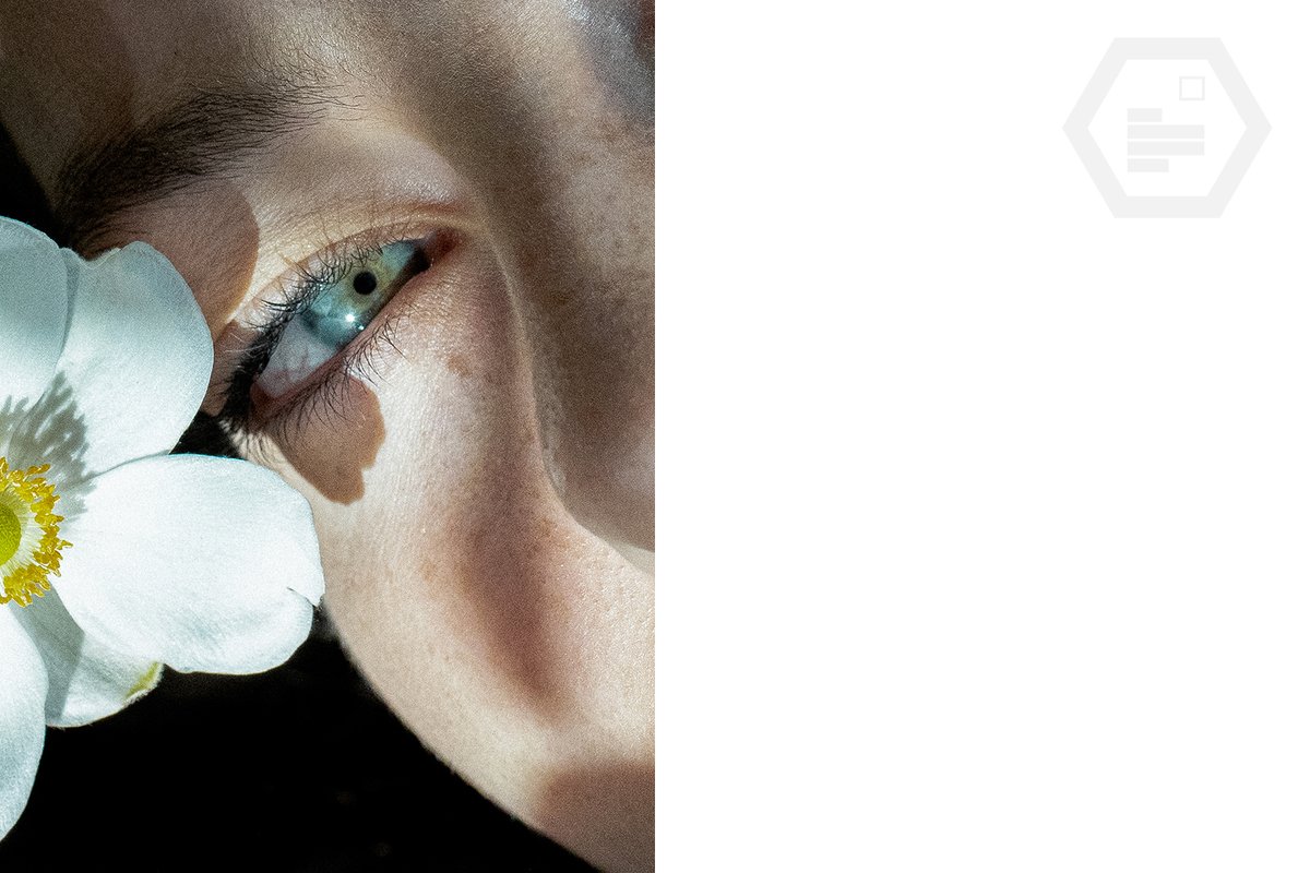 ChainCards tweet media