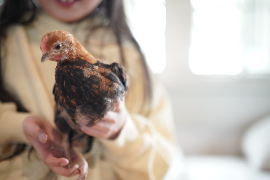 The Most Important Question To Ask Your Soul Everyday So You don’t Lose Hope ift.tt/SYbzeik