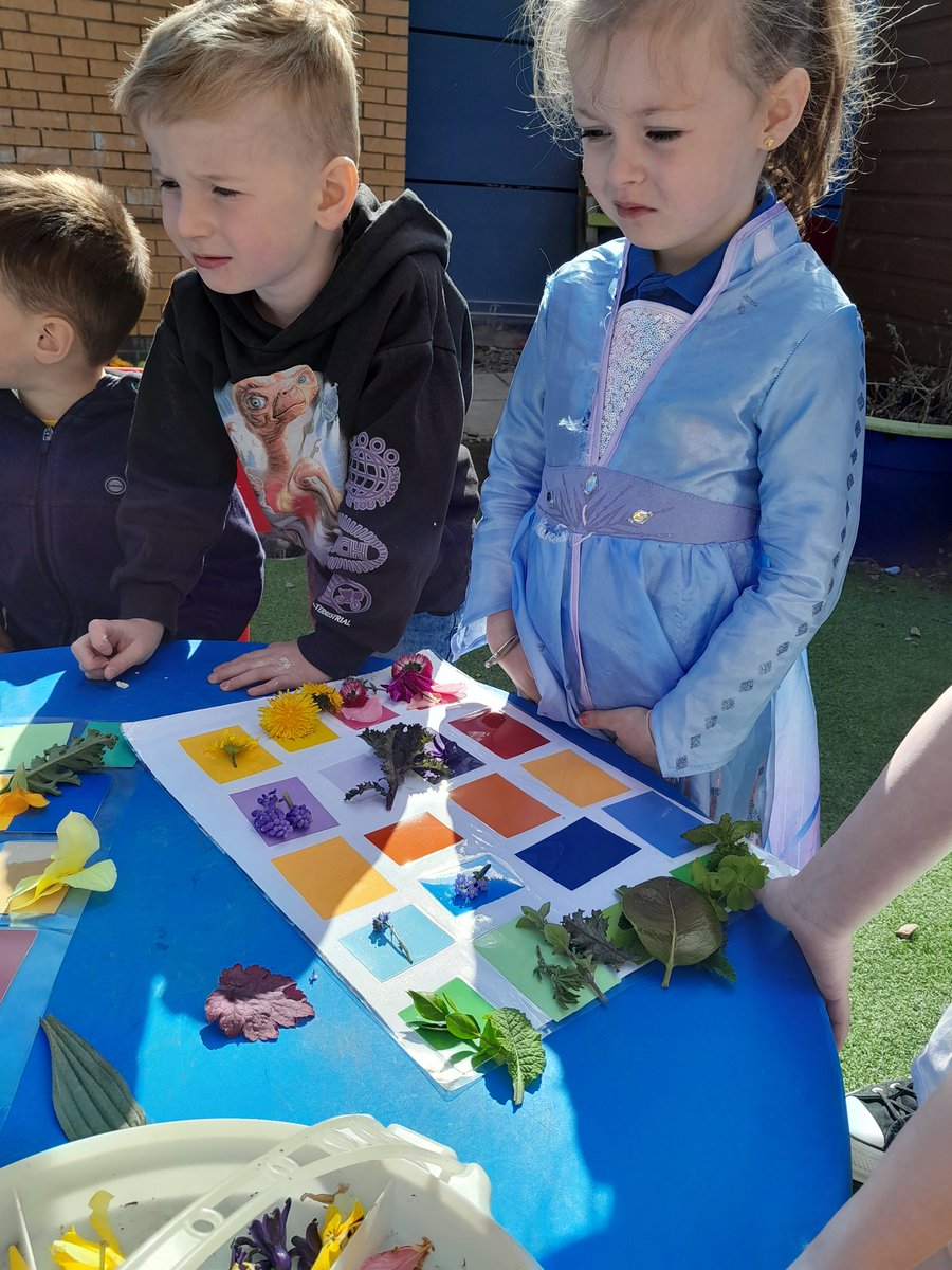 Suzieq1402's tweet photo. Took @FARE_Scotland Lochend C A to #fareplaynursery today. All about #sunflowers seed song, parts of sunflower, put growing pics in correct order, sow seeds. The  match the flowers &amp; leaves colour to chart. @RHSSchools @Jimmy_FARE @LeniFare @CultivationSt https://t.co/Q7pT0Ji2r5