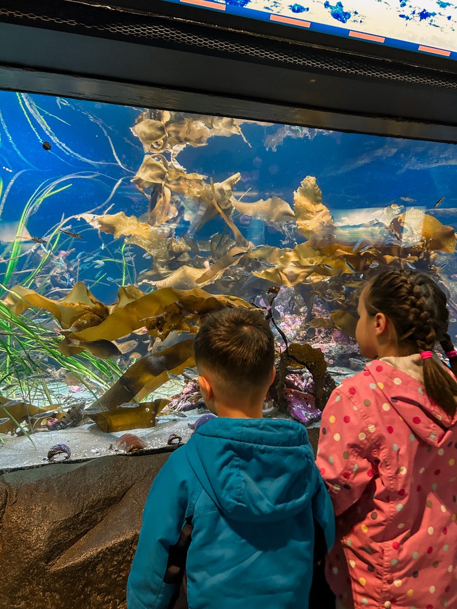 RajPPuri's tweet photo. @Surrey_Schools Settlement Staff @WelcomeSchools coordinate community outing to @vancouveraqua for newcomer Ukrainian students &amp; families #sd36learn https://t.co/VtVIP4XTym