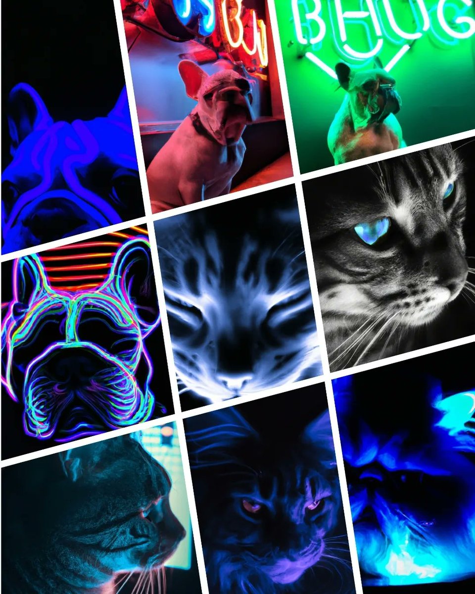 ⭐Added KAJIO28~36
⭐May happiness come to you and your loved one
⭐We will announce the sales time on Twitter, so please follow us there
#NFT
#opensea
#catlover
#doglover
#nftinvestor
#nftcollector
opensea.io/KAJIO