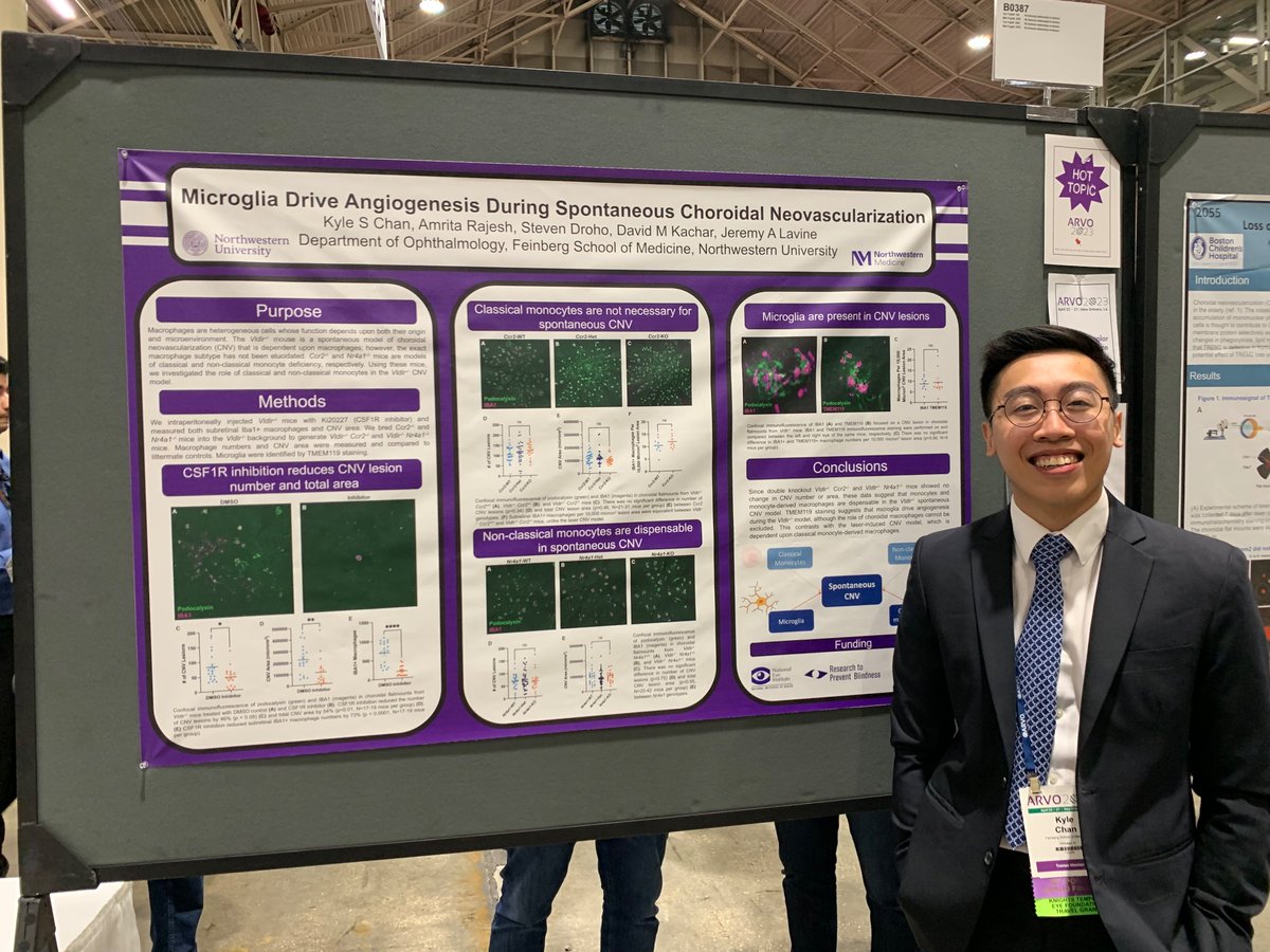 Kyle Chan tweet media