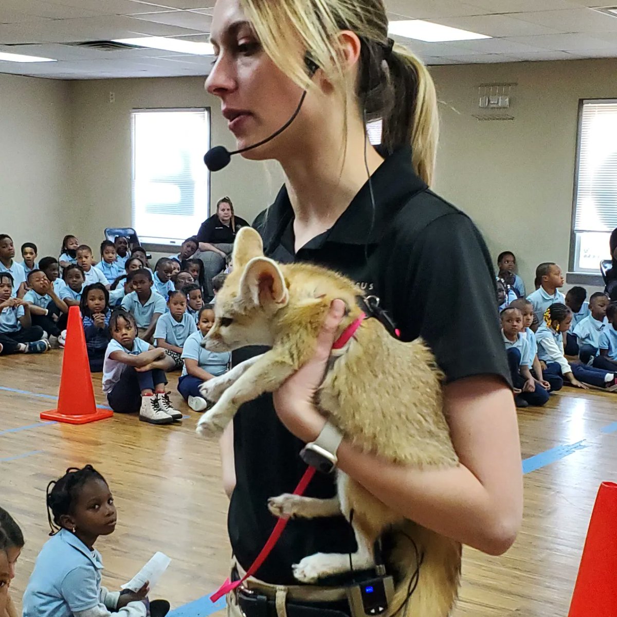 2KSchool's tweet photo. Thank you to Columbus Zoo and Aquarium for coming out and sharing with our students today! We had an awesome learning experience with Ashton, Calvin and all of their zoo friends. #2kschool #RocketRollCall #WeGrowKids #OneoftheBest @ColumbusZoo https://t.co/KAlrnc78Nb