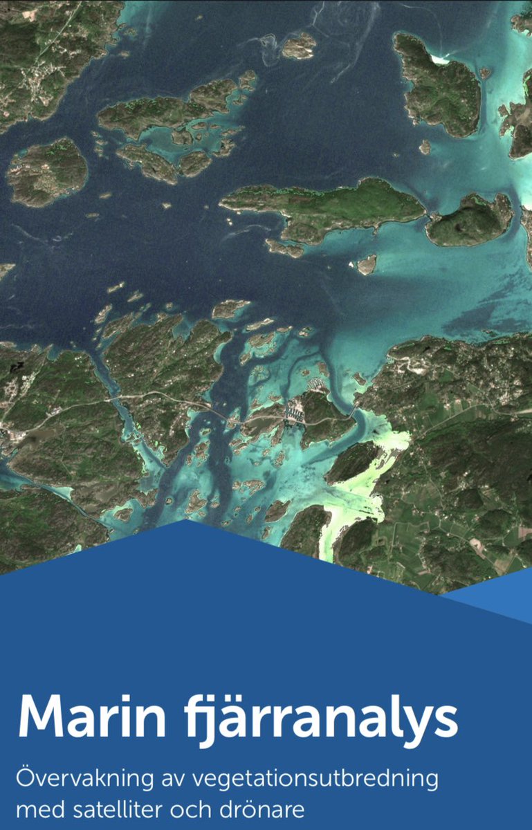 Undervattensvegetationen övervakas med drönare och satelliter, ny rapport ut lansstyrelsen.se/vasterbotten/o… (via Länsstyrelsen)