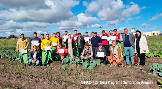 FAOUruguay's tweet image. 🟢Autoridades de la @FAO en #Uruguay participaron en el cierre de la capacitación a personas privadas de libertad y funcionarios carcelarios en San José junto al @sembrandouy y #HuertaenCasa👇🏽

fao.org/uruguay/notici…