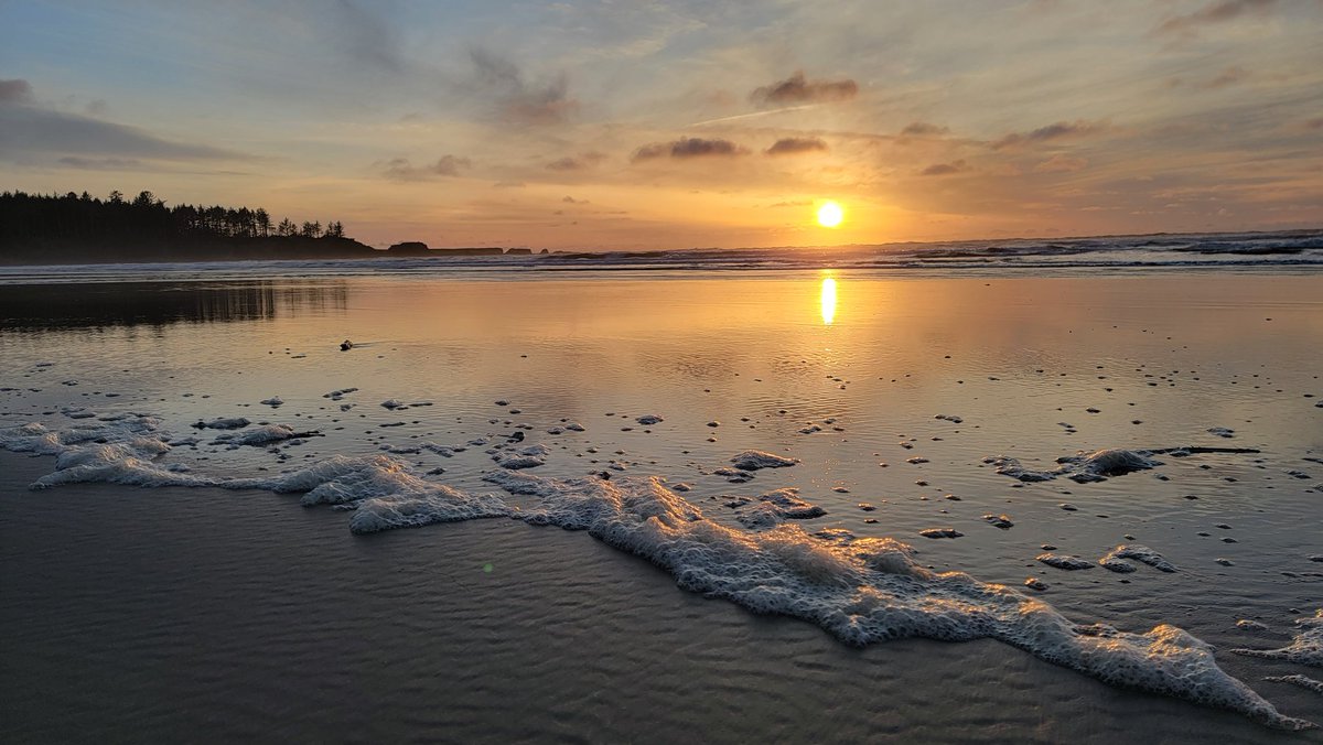 CoachWeb20's tweet image. Coos Bay and SWOCC are really showing off this week. Great Day To Be A Laker! #SWOCCbound #GoLakers