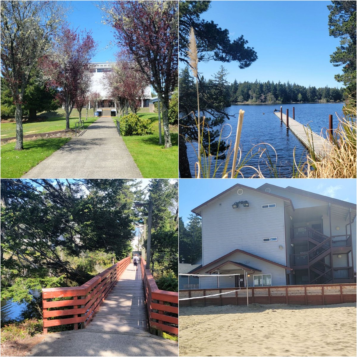 CoachWeb20's tweet image. Coos Bay and SWOCC are really showing off this week. Great Day To Be A Laker! #SWOCCbound #GoLakers