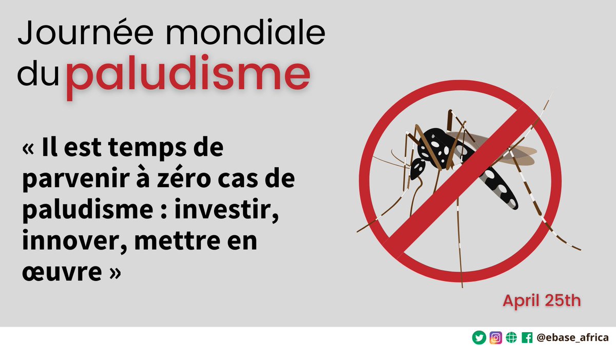 ebase_africa's tweet photo. Alors que la #JourneeMondialeContreLePaludisme  touche à sa fin, nous aimerions porter un toast🥂 à tous les acteurs qui travaillent d'arrache-pied pour mettre fin au #paludisme.

Il est temps de travailler ensemble pour réduire à zéro les cas de paludisme.

@FRauCameroun @okwen https://t.co/Abd4elNXJY