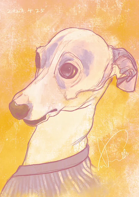 今日の愛犬を描きました。 