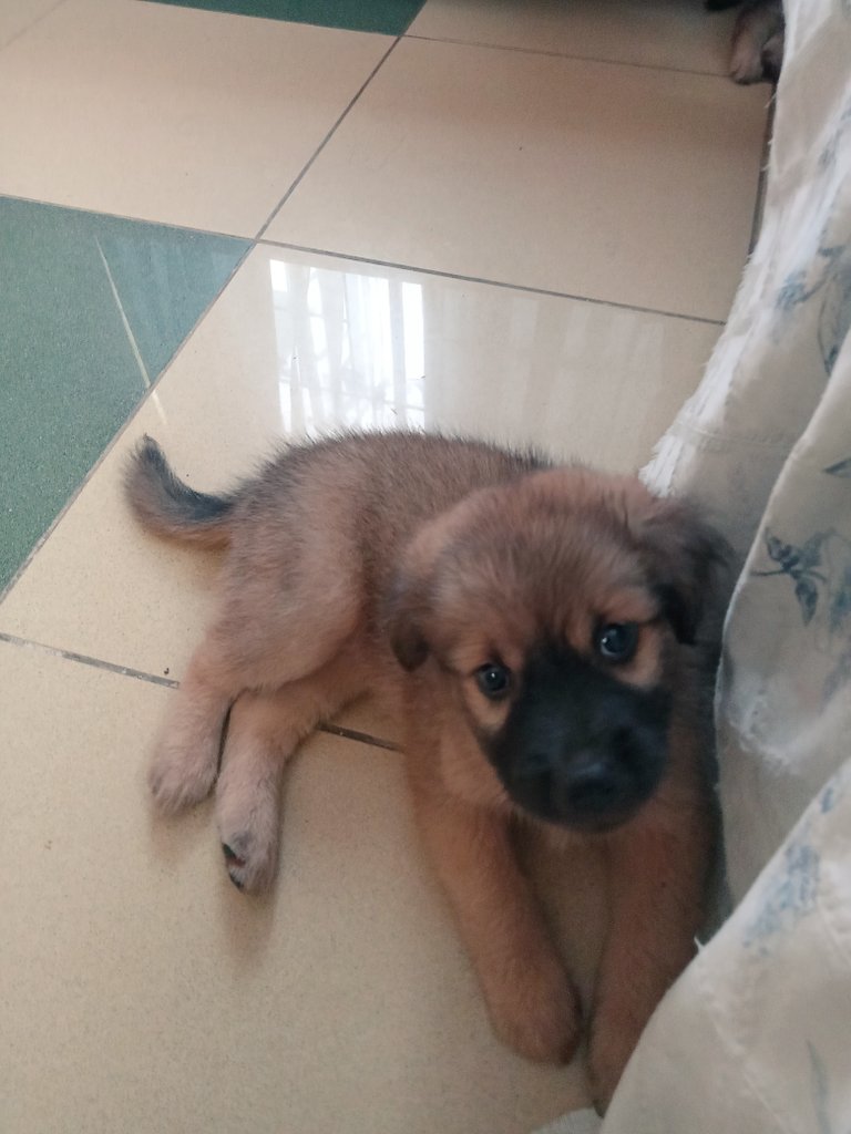 see you in your next lives