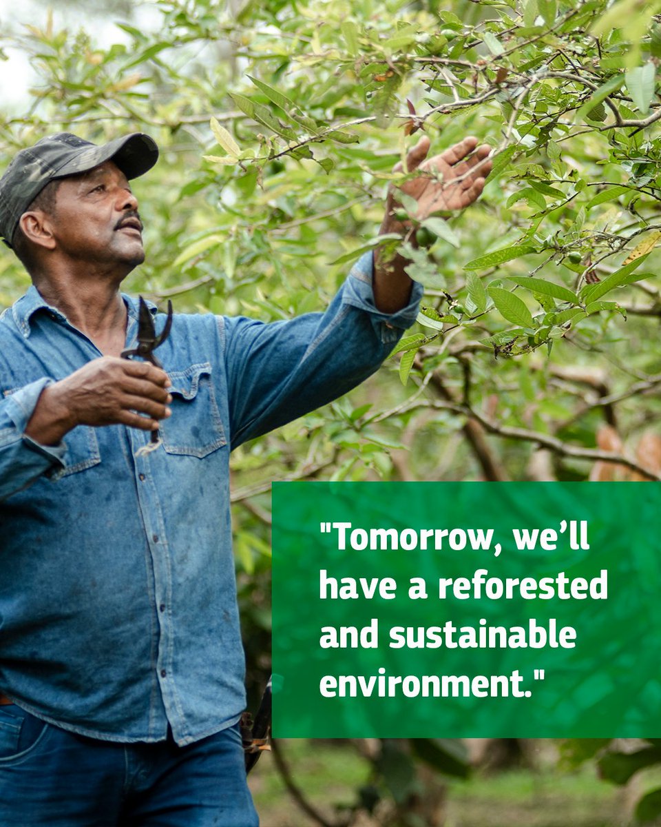 Rare_org's tweet photo. This farmer fights climate change.
José Fernando Izquierdo uses #RegenerativeAgriculture techniques he learned through our #LandsForLife program on his farm in Meta, Colombia. https://t.co/miH4R2JOaR