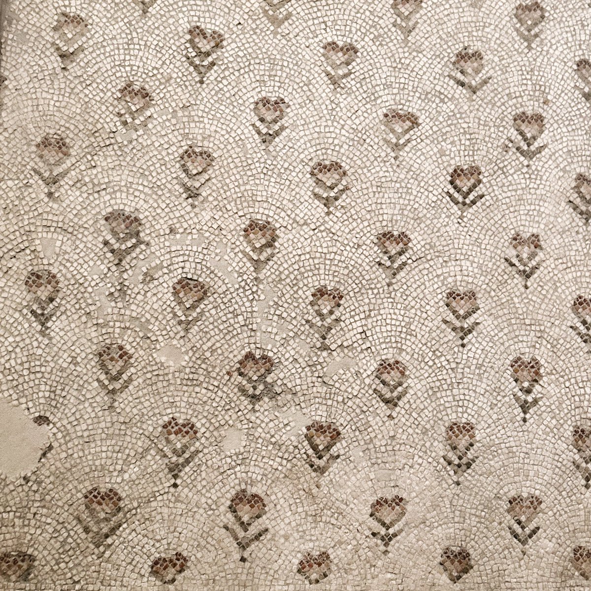 astridposts's tweet image. floor mosaics 🌷