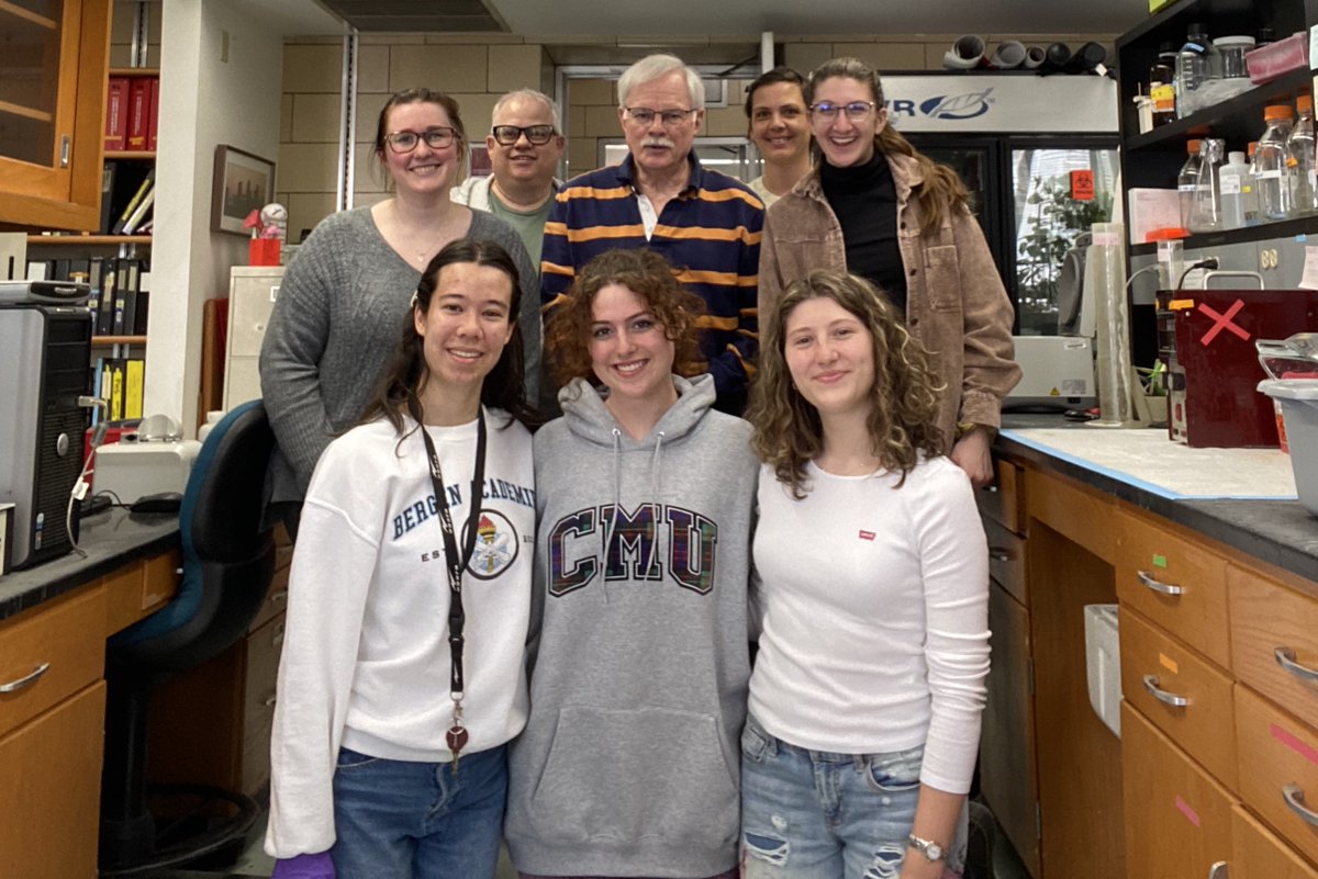 Woolford Lab tweet media