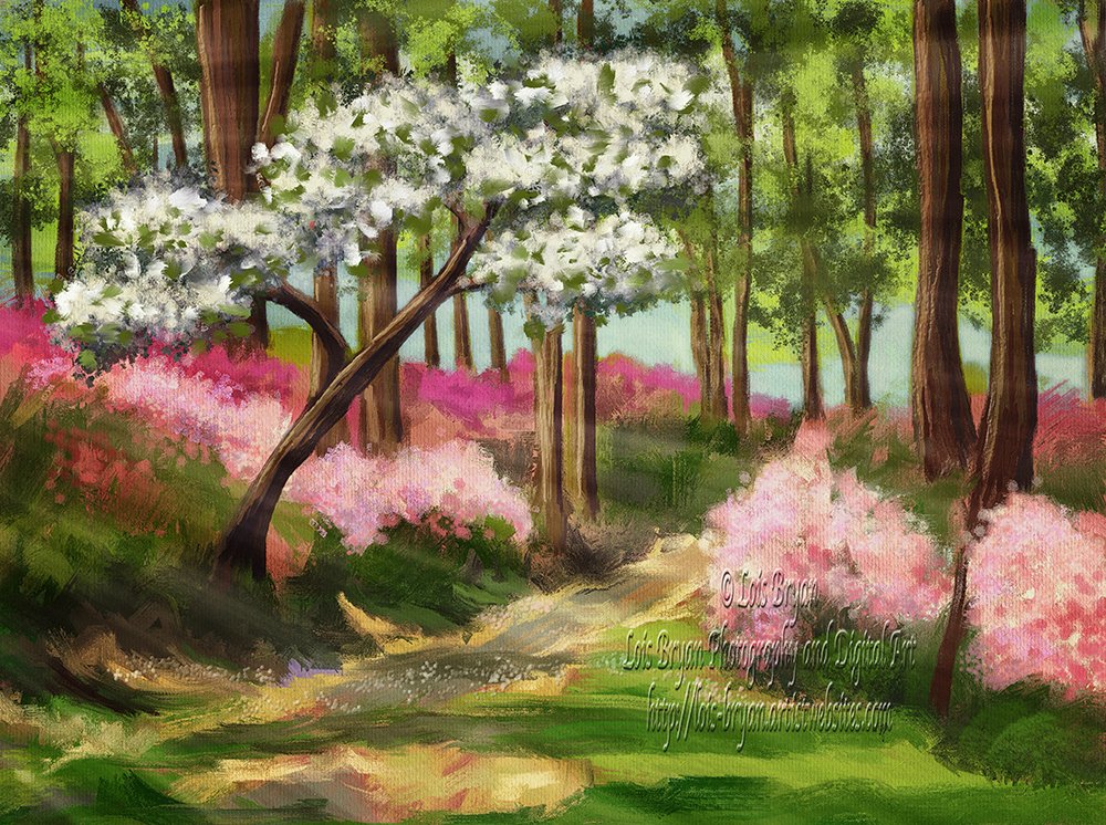LoisBryanPhotog's tweet photo. #MothersDay means the #azalea #gardens at #BrightonDam in #MontgomeryCoMd will soon be at their best! I hand-painted this, digitally, in #CorelPainter.   https://t.co/qJusf9EwQt #NoArtificialIntelligence #HumanMade #art #giftideas #BuyIntoArt #spring #FineArtAmerica #LoisBryan https://t.co/uC5sM38TQx