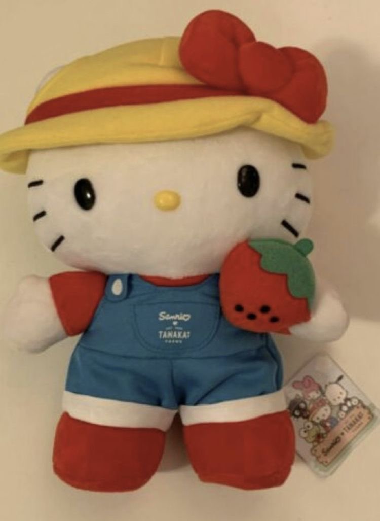 sanriodaily's tweet photo. she’s a strawberry farmer 💫 https://t.co/ZRktKfq5yv