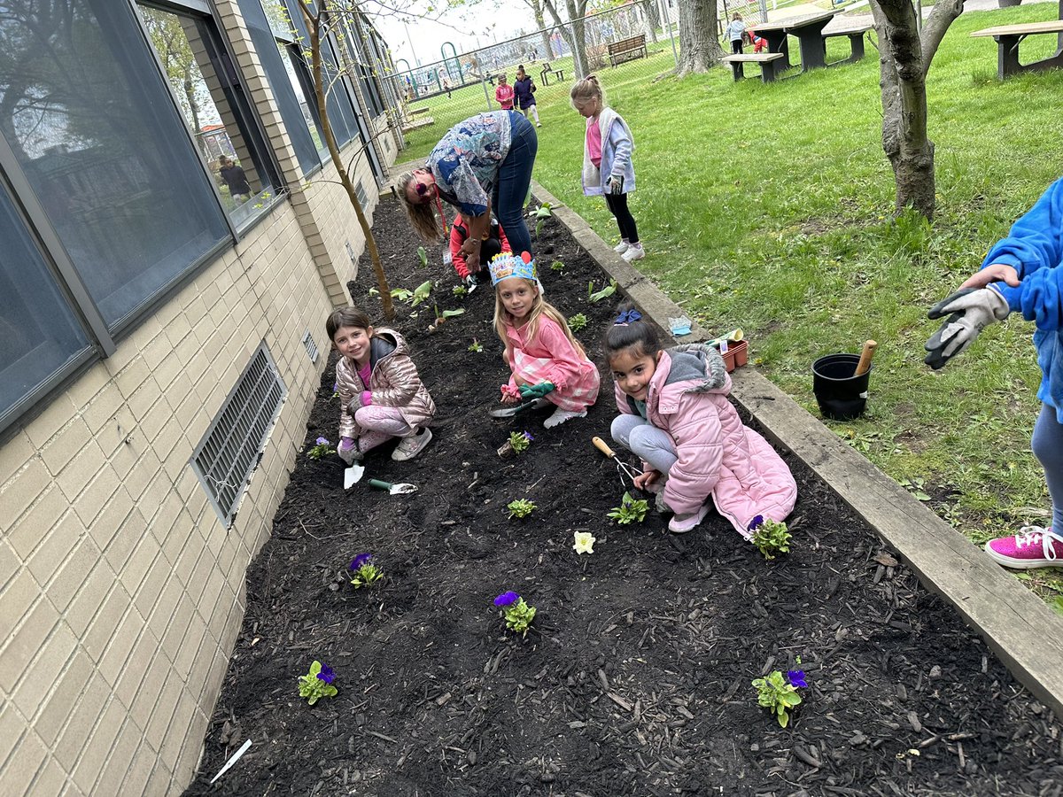 BellmoreUFSD's tweet photo. The Rising Stars are enjoying Garden Club during recess. #ContinuousImprovement. #LeadersinScience #starsleadandlearn https://t.co/ABuQtBub2D