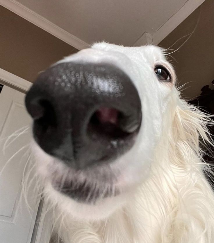 дружелюбно напоминаю о тг канале где мы любим меня любимого.