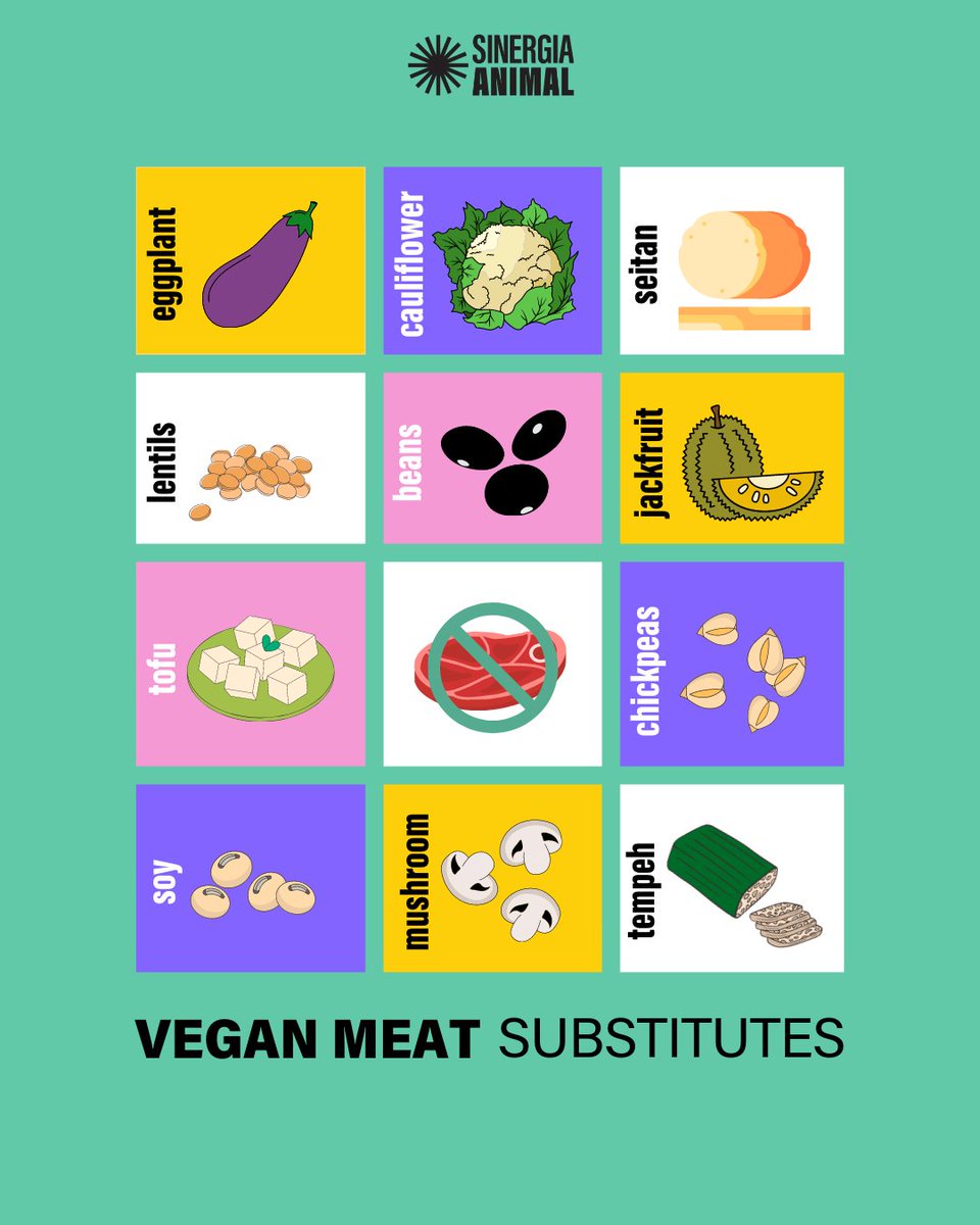 Did you know that there are TONS of meat alternatives that are not only delicious and nutritious, but are also better for animals and the environment <3  Which one is your favorite? Comment below!   #meatsubstitutes
