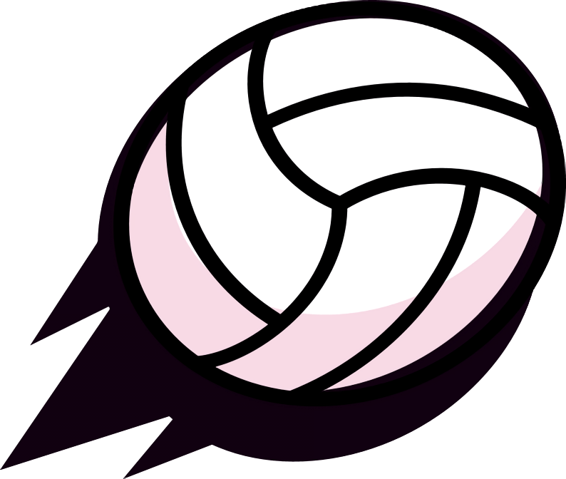 GalaxiaNerd3's tweet photo. O que vcs acham do volley brawl? https://t.co/jz4rnAuzAp