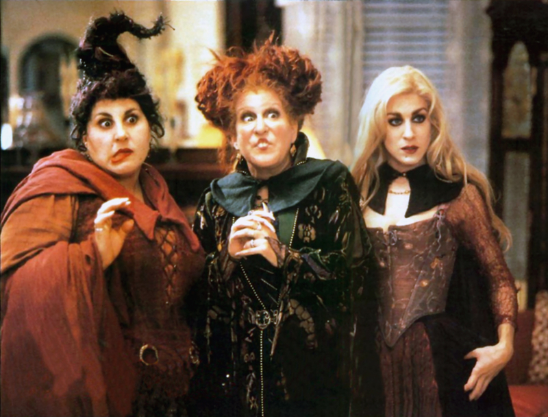 What's the Cast of Hocus Pocus up to These Days? - daily-stuff.com/like_126701/ #hollywood #film