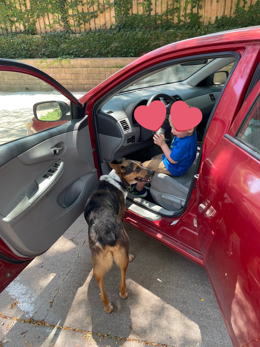 Day 25 “Kids and Pets” Hooooow Dis is my HooGreatNephew! He gave me the biggest HooHug before he left! As you can see, Iz didn’t want him to go! I’ll see him dis Summer🐶🤠🚘🐶 #PhotoChallenge2023April #dogsoftwitter #CatsOfTwitter #tongueouttuesdays #WorldPenguinDay