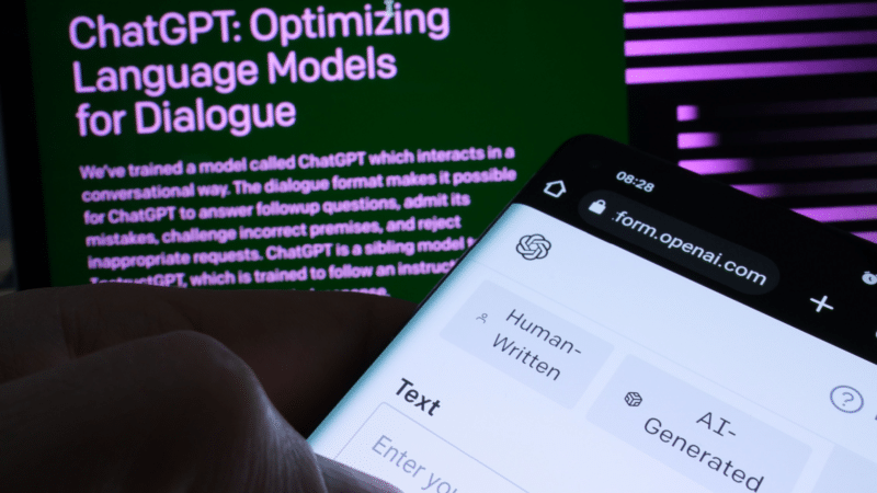 wpdeveloper24 tweet picture