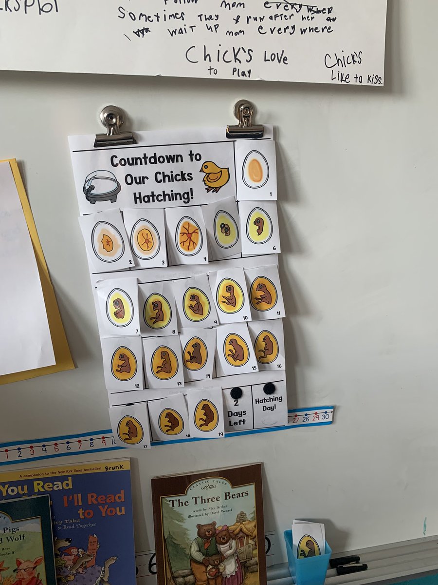 brunk1stgrade's tweet photo. We are ready for you baby chicks!🐥 #weshinebright #WEarelakota https://t.co/jb44z1bIKs