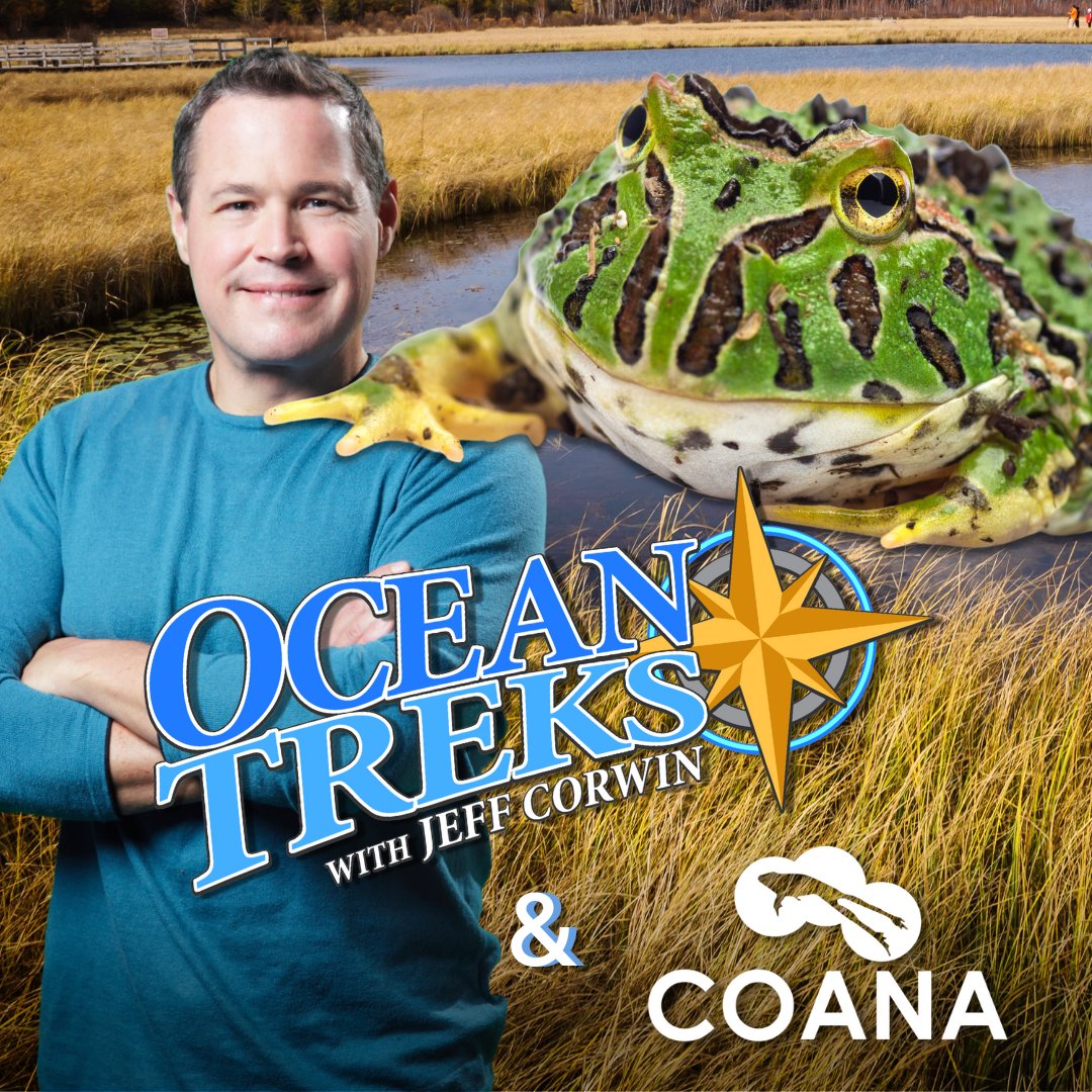 coana_arg's tweet photo. ¿Sos old pero así de old? Porque nosotras sí y amábamos el programa de #JeffCorwin. Por eso cuando vino a la Argentina y nos propuso ser parte de su show, ¡no lo dudamos!
Te invitamos a ver el video completo en nuestra sección de reels en Instagram 👇
https://t.co/EfAVivdwke https://t.co/p4yAiRGwSe