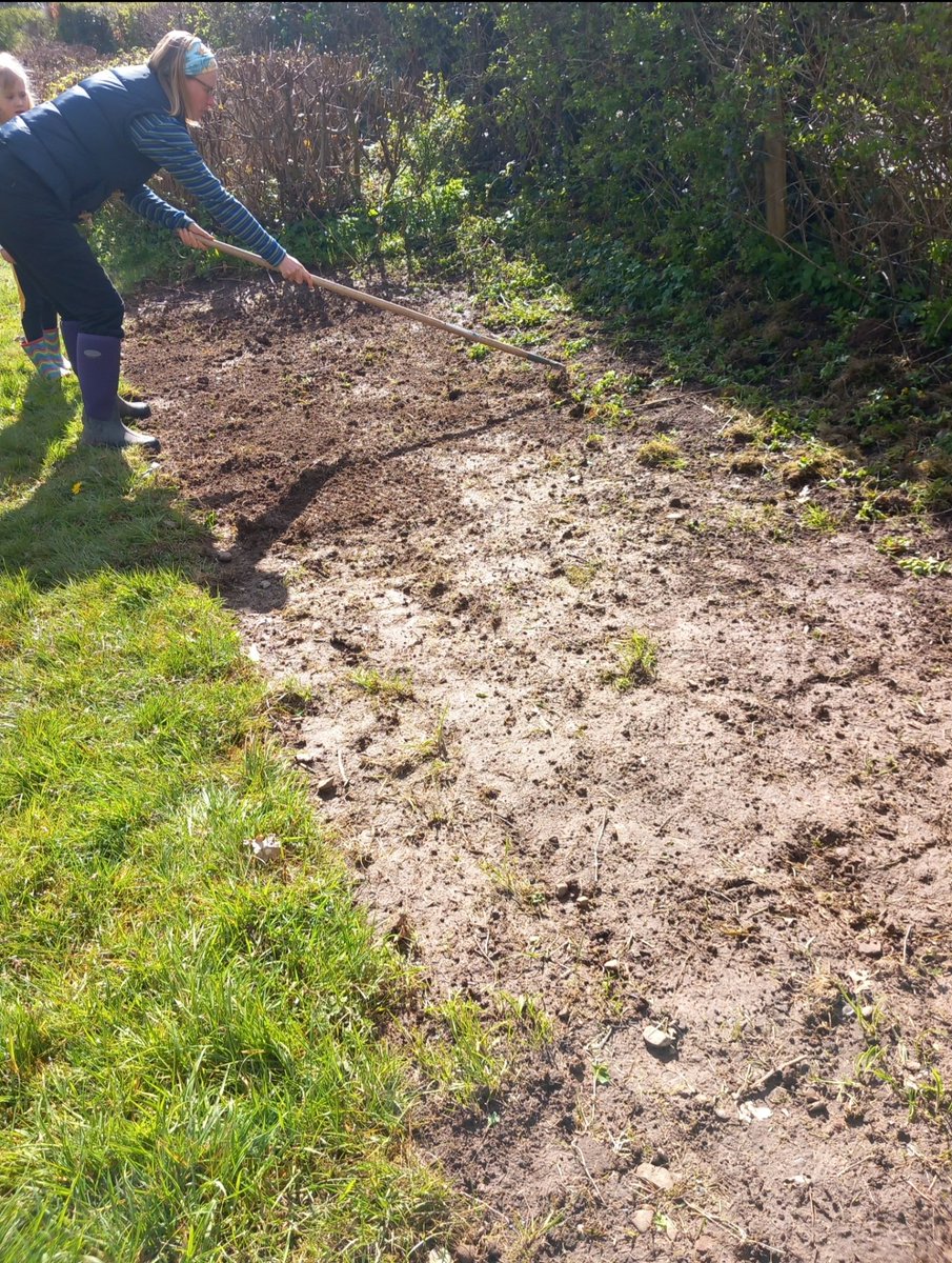 OTVTalgarth's tweet photo. Fab morning at @llangynidrhall, sowing a small wildflower patch...
Adding native wildflowers into a small area of your garden will provide more food for pollinators like bees and butterflies, as well as other insects.
#wildflowers #wildlife #insects 
🦋🌼🐝🏵 https://t.co/HpfaBPHRAL