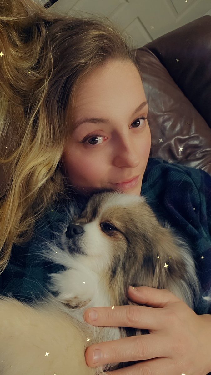 AlienAnsley's tweet photo. Lazy day with my boys ❤️ #pomeranian https://t.co/B6MrguEYyf