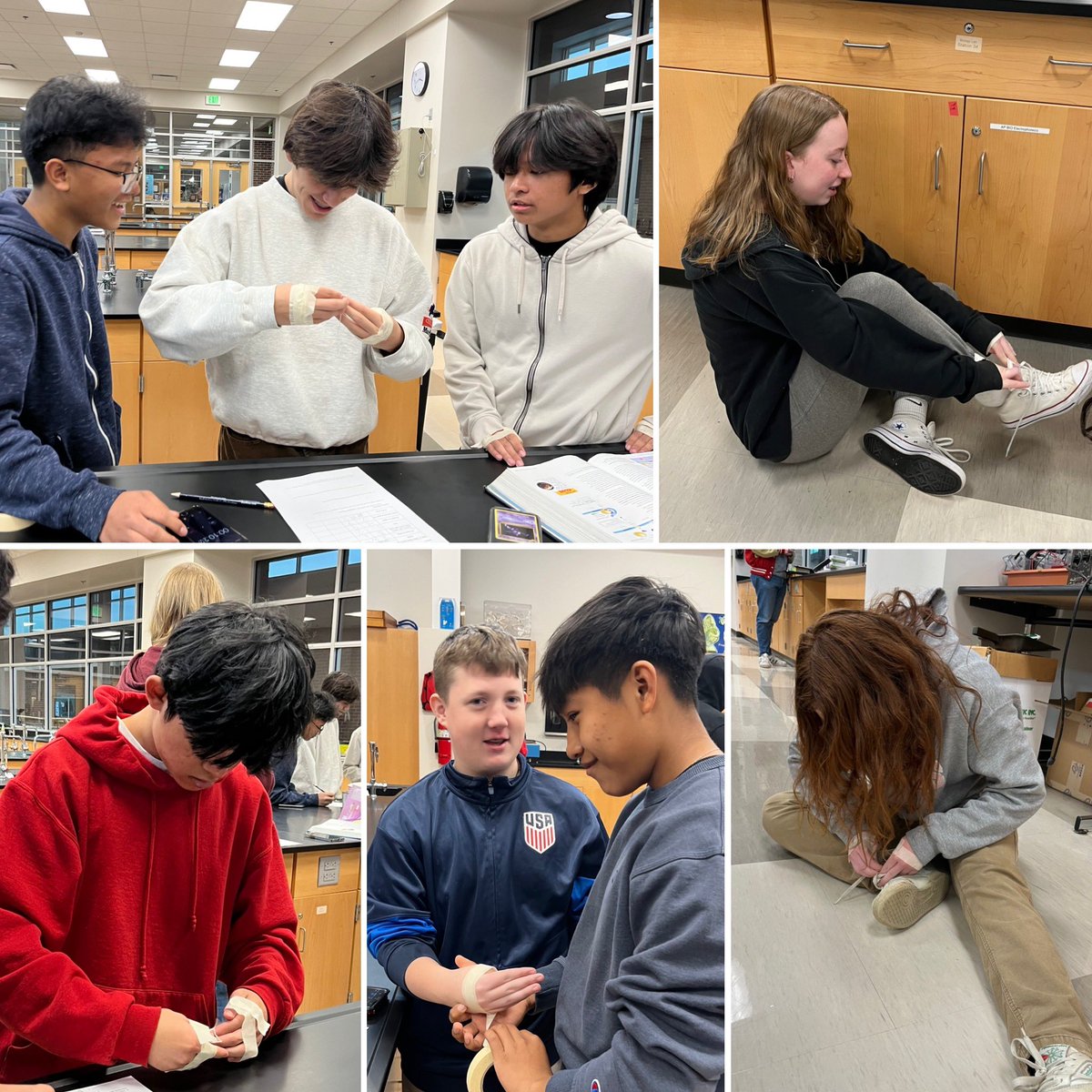 Humans have evolutionary adaptations too! After learning about the adaptations of several other species, students found out how important one of our adaptations- our thumbs- are for everyday tasks.