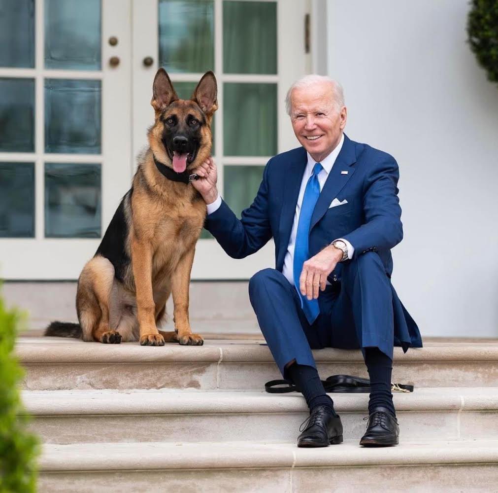TheOvalPawffice's tweet photo. 🐾 "When I ran for president four years ago, I said we are in a battle for the soul of America. And we still are.” - dad @POTUS. I pawpprove this message 💯 purrcent: we still have work to do! Awooooooof! #FourMoreYears #OneMoreTerm https://t.co/z0jKvYVRHn