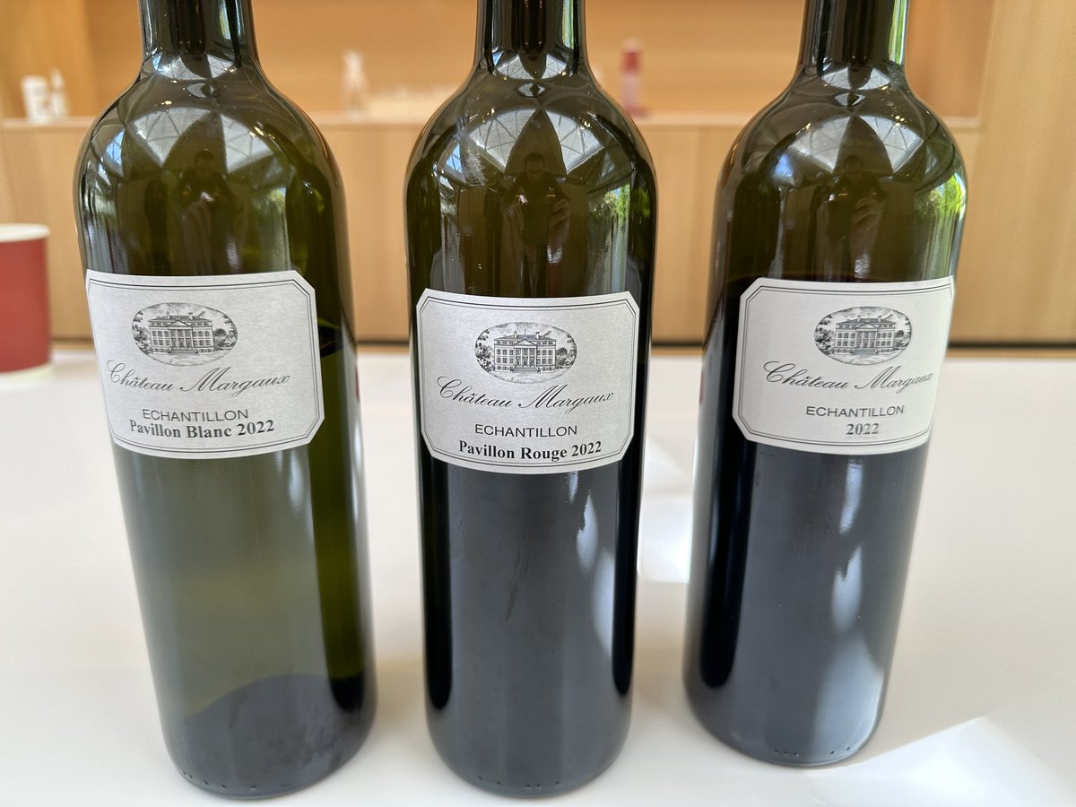 Stephen Clapp tweet media