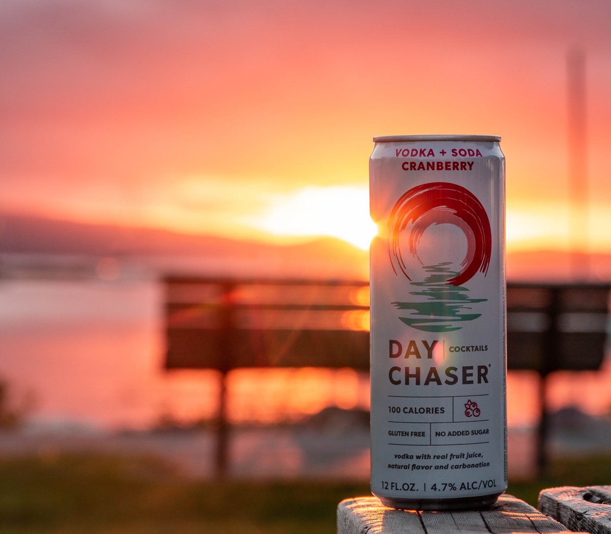 signs of a day well chased.
.
.
.
#chasetheday #daychaser #vodkasoda #summer #bartender #sletzer #cannedcocktail