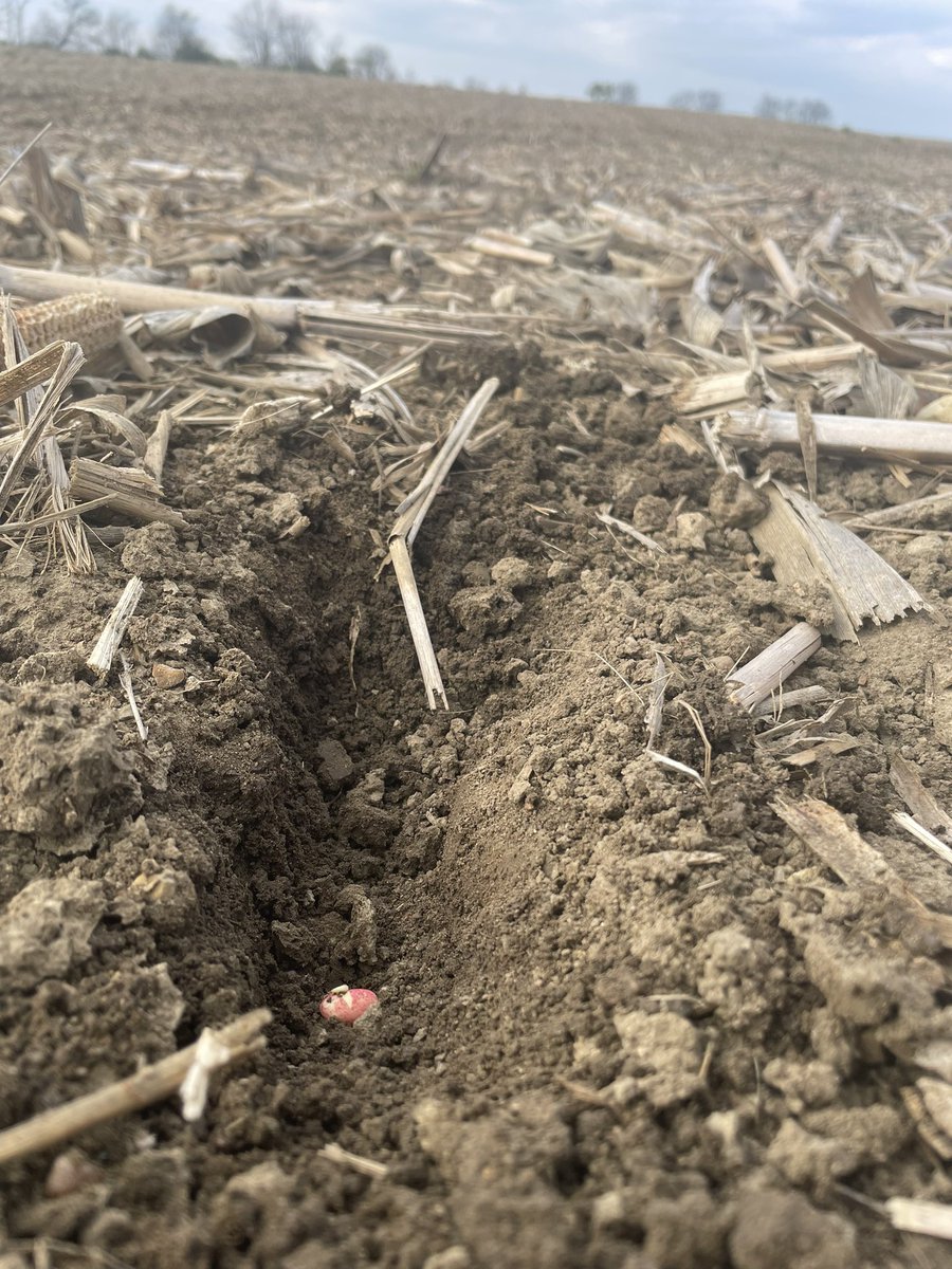 April’s weather variability never surrenders. Strong seed treatments pay dividends toward preventing stand attrition. Don’t plant naked. <a href="/AgriGold/">AgriGold</a> #Saltro