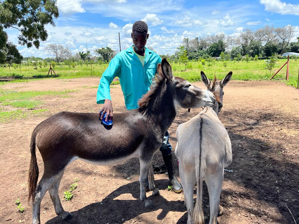 AnimalKindInt tweet picture
