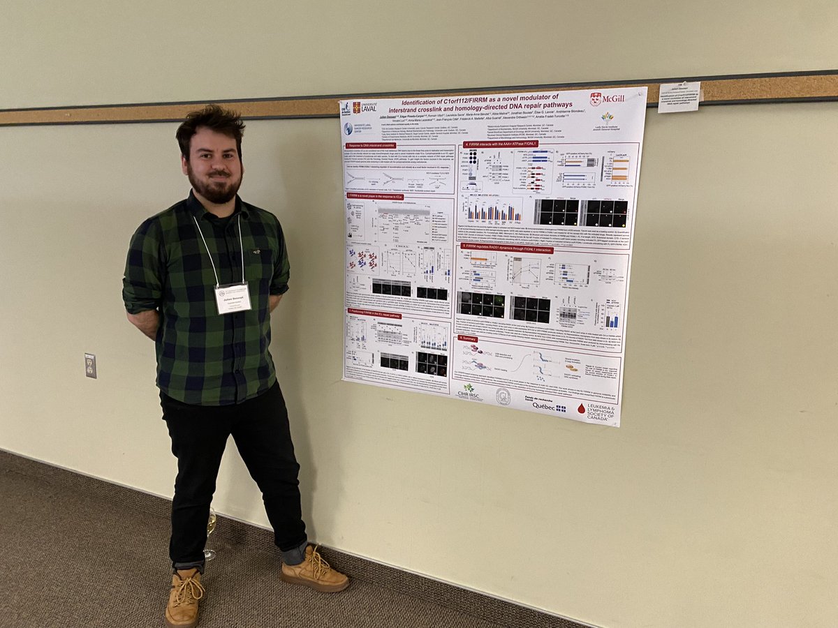 orthweinlab tweet media