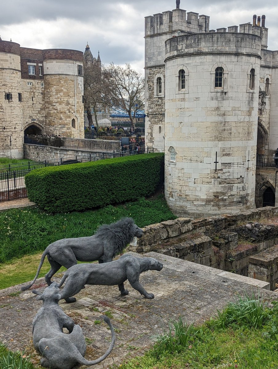 Ashy_the_Bear's tweet photo. Tower of London Tour was amazing! So many photos. First day the Yeoman's had worn their King's uniform too! 

#toweroflondon #yeomans #beefeater #Ravens #ravensoflondon #skybar #views #london #traitors #history https://t.co/rqPRmCTe8H