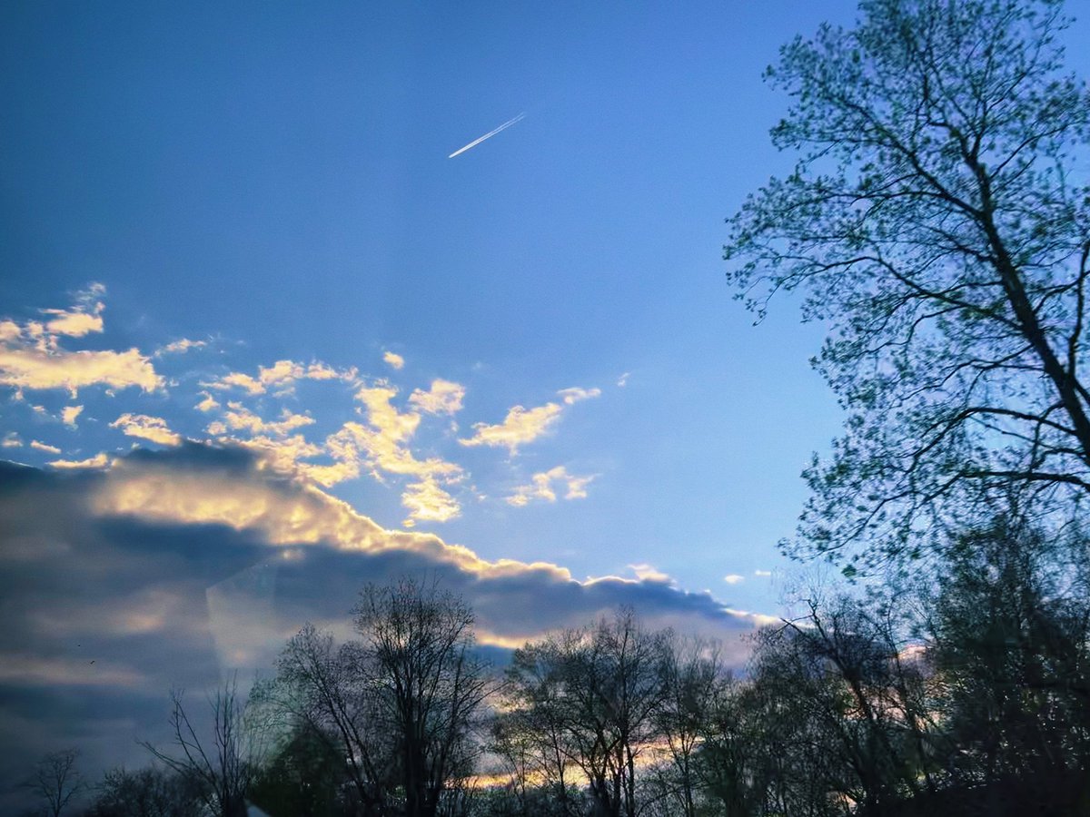 the Christine Cai tweet media