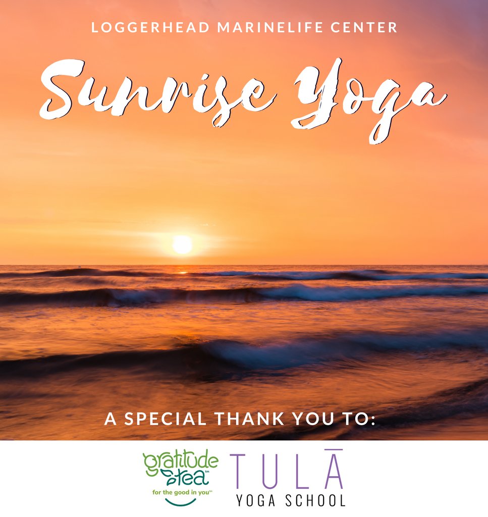 Looking to start your morning off with a sunrise yoga session? Join Tula Yoga at LMC on Friday, May 5th from 7am-8am 🌅

A $10 fee and registration is required! Please remember to bring your own equipment as it is not provided.

vagaro.com/cl/AlZB48Y7w8w…