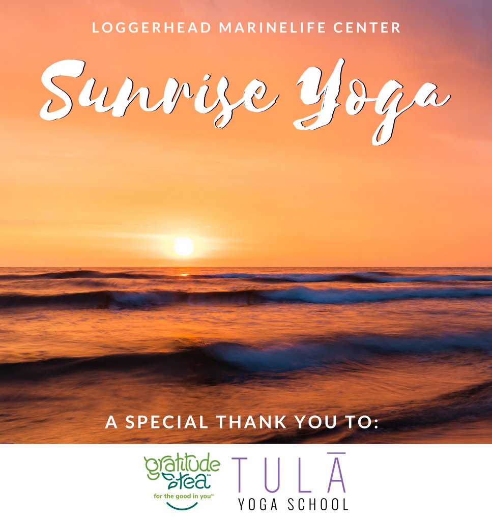 Looking to start your morning off with a sunrise yoga session? Join Tula Yoga at LMC on Friday, May 5th from 7am-8am 🌅 A $10 fee and registration is required! Please remember to bring your own equipment as it is not provided. vagaro.com/cl/AlZB48Y7w8w…