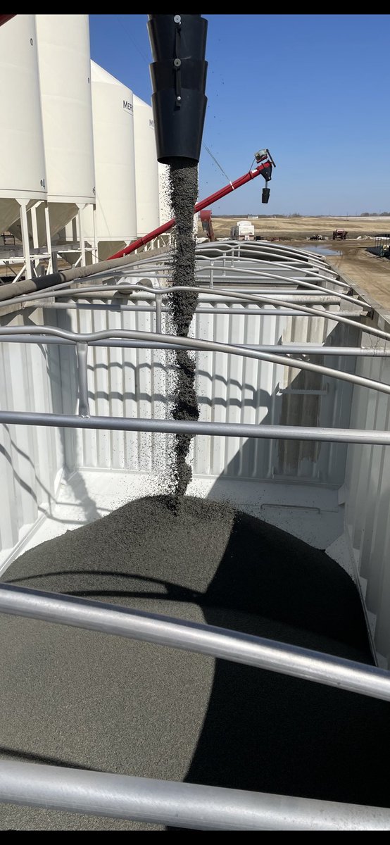 KirkJohn31's tweet photo. Precison Starter Time for these lentils at Carlyle / Awesome results for Starter year after year especially in colder soils!@PrecisionAg1 #plant2023 https://t.co/uTD7OthakS