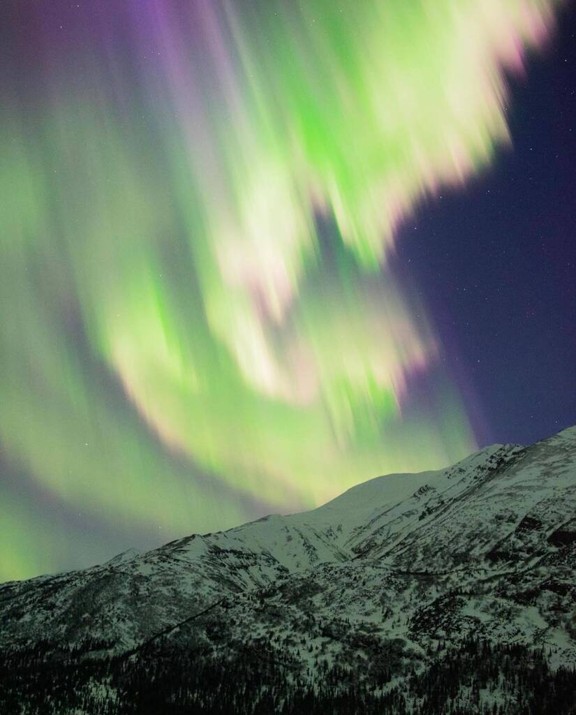 Explore Fairbanks tweet media